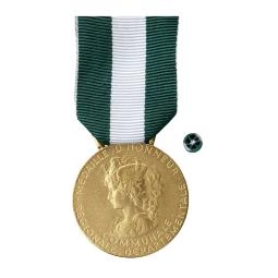 Médailles d'Honneur 30 ans vermeil - MHRDC30B