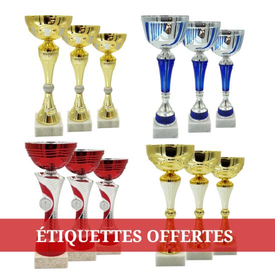 Lot de 12 coupes