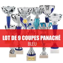 Lot de 9 coupes assorties 21-26cm