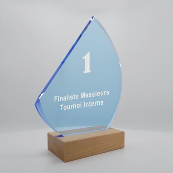 Trophée Plexiglas Personnalisable 24cm - PL001B