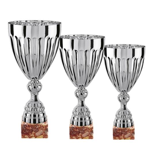 Lot de 3 coupes - FSL3