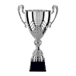Coupe argent avec anses