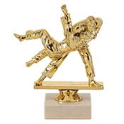 Trophée judo plastique 15cm - MSJ041