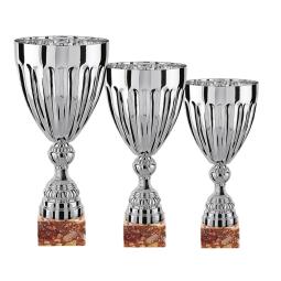 Lot de 3 coupes - FSL3