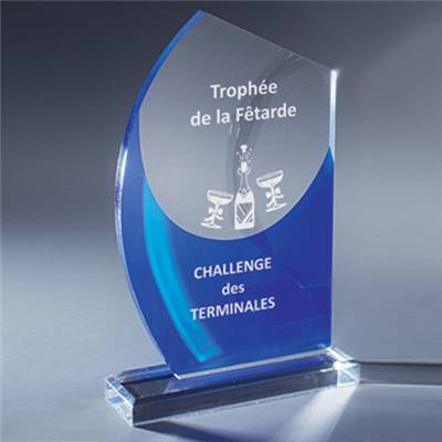Trophée Plexiglas 24cm