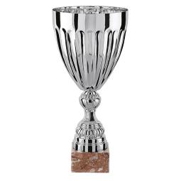 Coupe argent - TDF20I