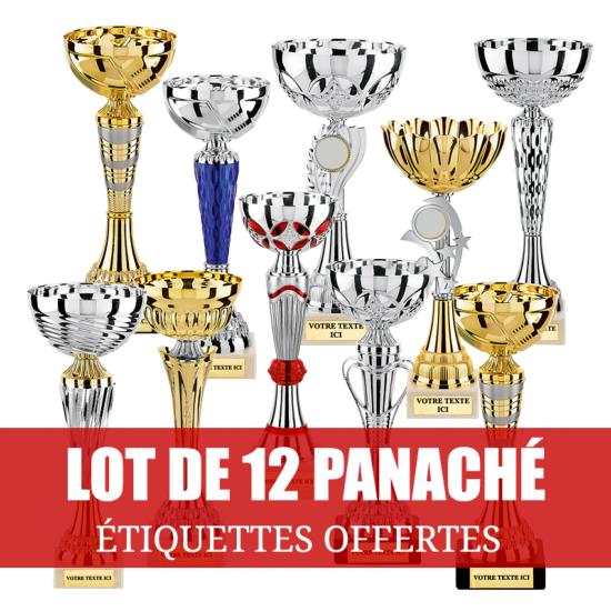 Lot de 12 coupes panaché 18-23cm