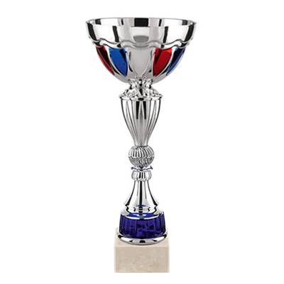 Coupe argent BBR 33cm - TDF20D