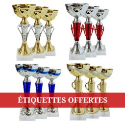 Lot de 12 coupes - FSL120