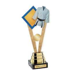 Trophée judo acrylique couleur 24cm
