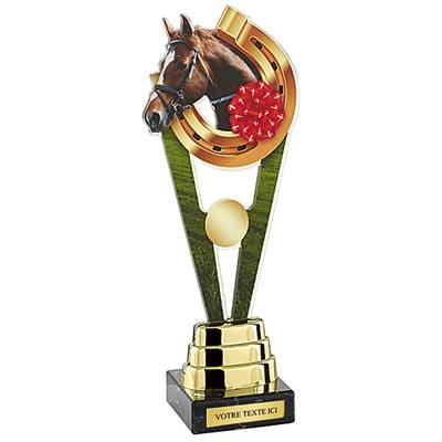 Trophée équitation plexiglas 25cm - PN024