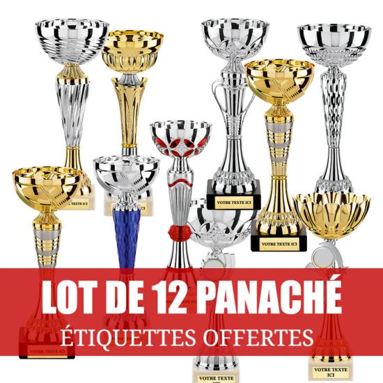 Lot de 12 coupes panaché 24-28cm