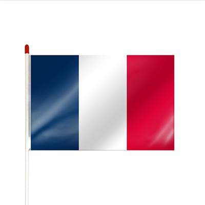 Drapeau à agiter France - DRAPLAS2