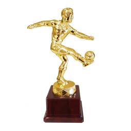Trophe foot mtal 26cm