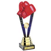 Trophée boxe plexiglas 24cm - PN010