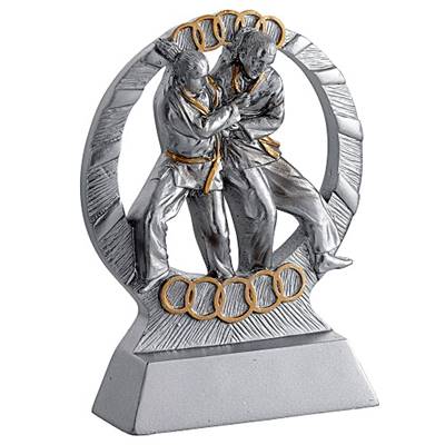 Trophée judo résine 16cm - RS2519