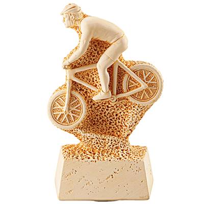 Trophée PDG VTT 17cm
