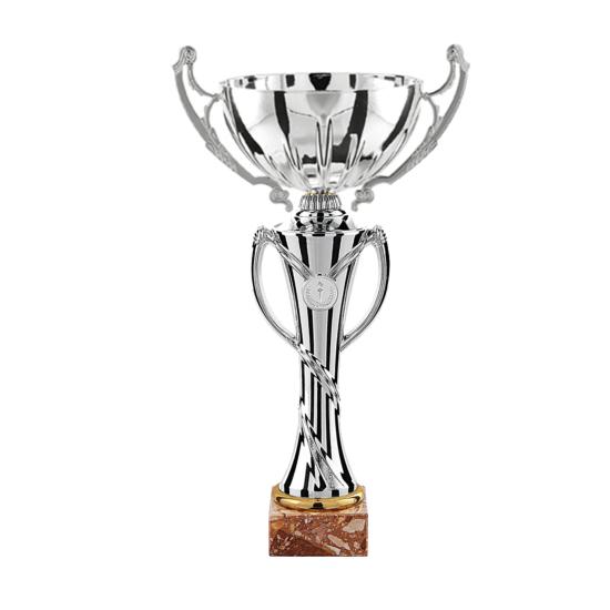 Coupe argent avec anses