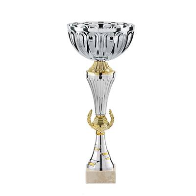 Coupe argent or 38cm - TDF20G