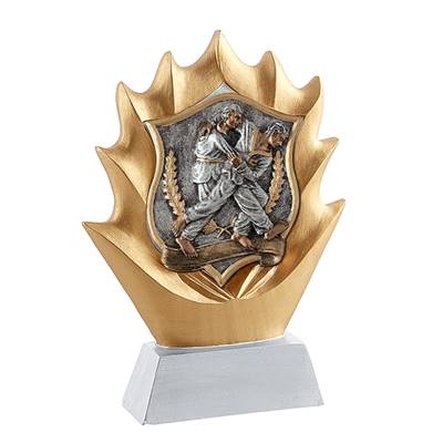 Trophée blason judo résine 18cm - RS0974Cjudo