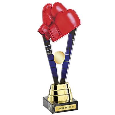 Trophée boxe plexiglas 24cm - PN010