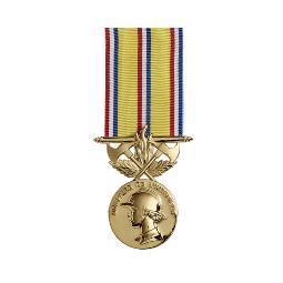 Mdaille d'honneur sapeurs-pompiers 40 ans - MAP40