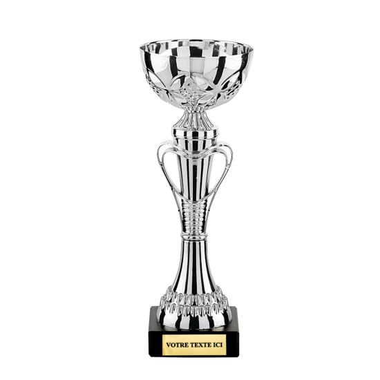 Coupe argent 19cm