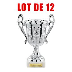 Lot de 12 coupes - 3201BLOT