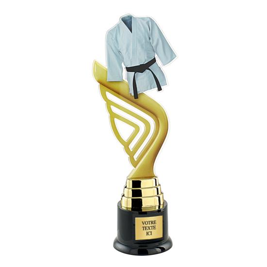 Trophée judo acrylique couleur 31cm