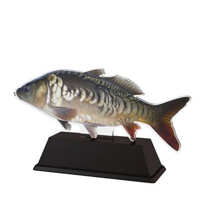 Trophée pêche plexiglas 10cm - PN058