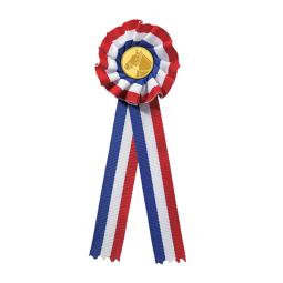 Rosette Tricolore 17cm - RT1