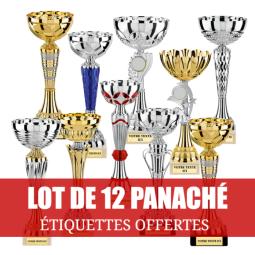 Lot de 12 coupes panaché 18-23cm - LT12PA