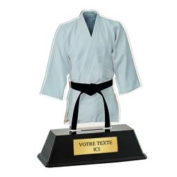 Trophée combat plexiglas couleur 16cm