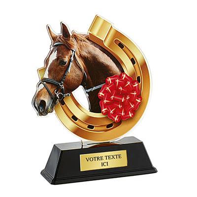 Trophée équitation plexiglas 16cm - PN025