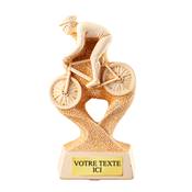 Trophée PDG VTT 28cm - ST362