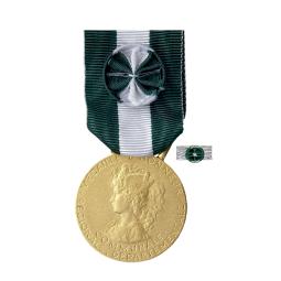 Médailles d'Honneur 35 ans or