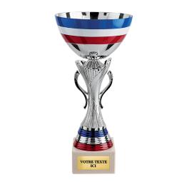 Coupe argent tricolore <br>3 tailles disponibles