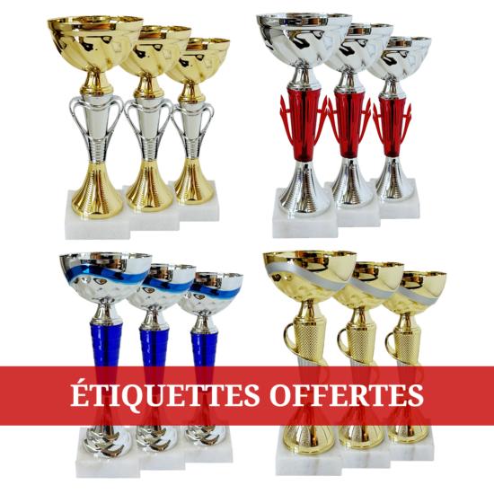 Lot de 12 coupes - FSL120