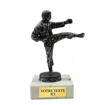 Trophée karaté métal 12cm - FST1005