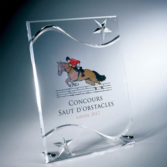 Trophée Plexiglas Personnalisable 23x30cm - PL079