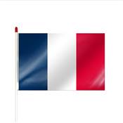 Drapeau  agiter France - DRAPLAS2