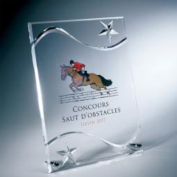 Trophée en plexi standard small