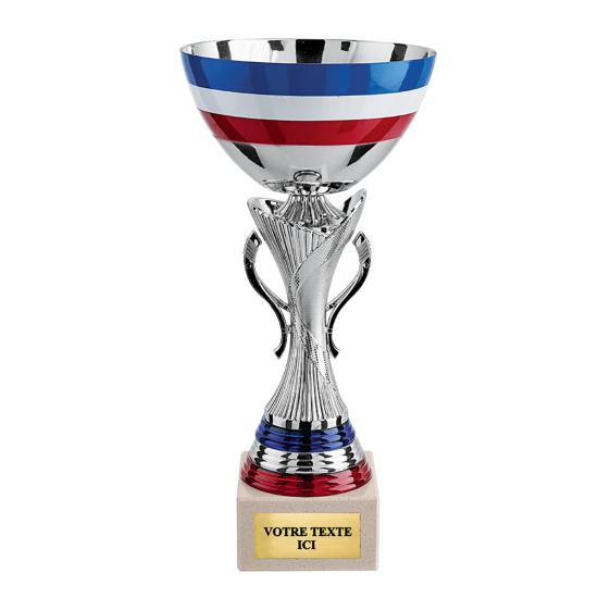 Coupe argent tricolore <br>3 tailles disponibles