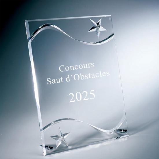 Trophée Plexiglas Personnalisable 23x30cm