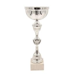 Coupe argent 46cm
