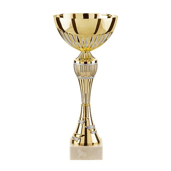 Coupe or argent 26cm - TDF75D