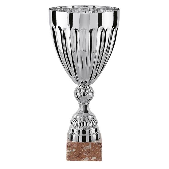 Coupe argent - TDF20I