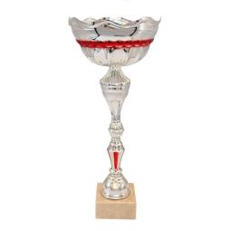 Coupe argent rouge 41cm