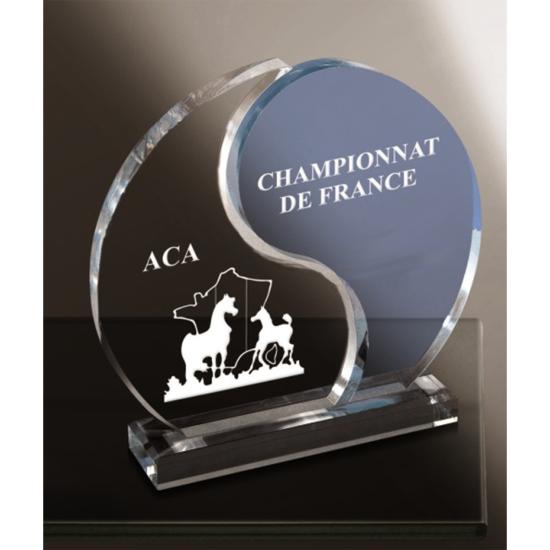Trophée Plexiglas transparent bleu