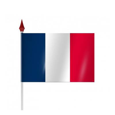 Drapeau à agiter France - DRAPLAS